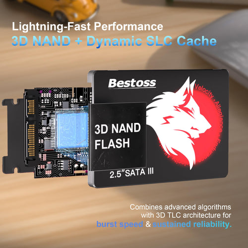 128GB 2.5" SATA III Internal SSD C306