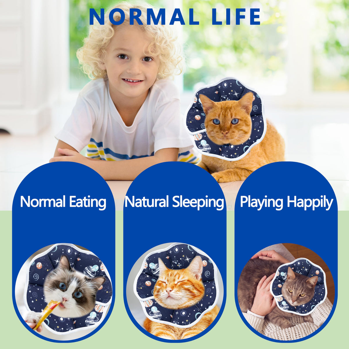 Adjustable Cat Recovery Collar I784