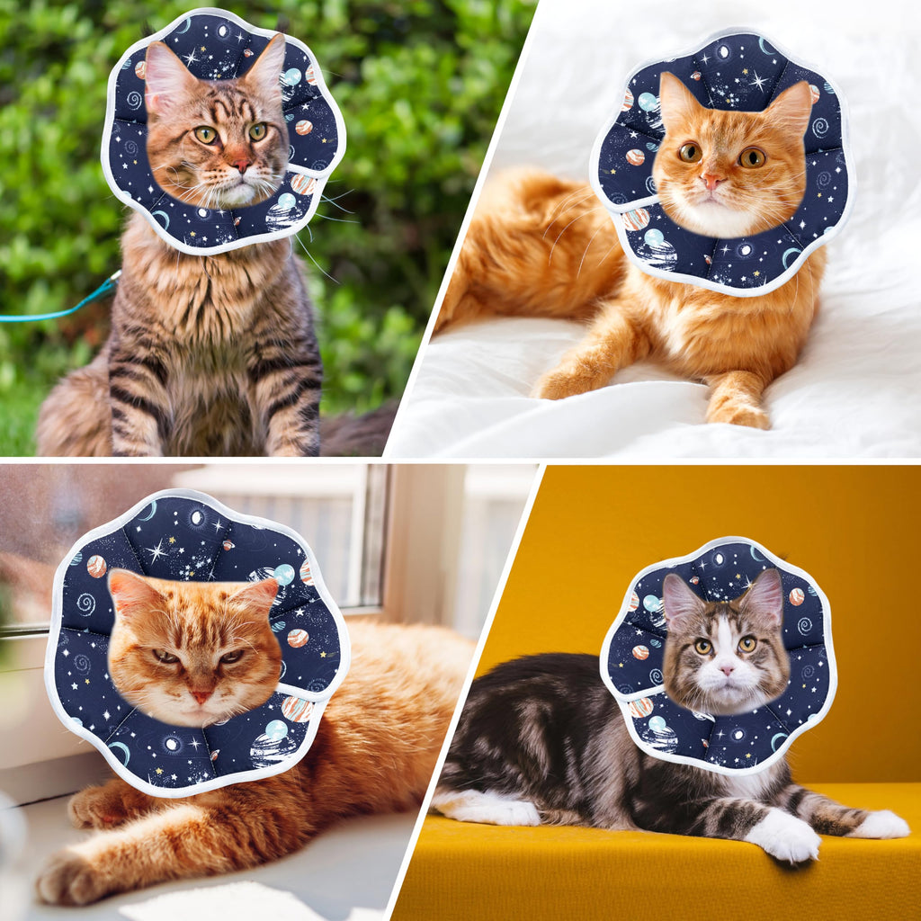 Adjustable Cat Recovery Collar I784