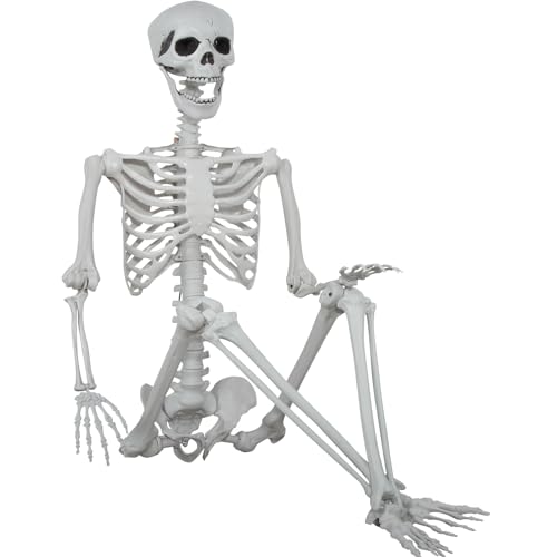 5.9ft Halloween Life Size Skeleton Plastic Human Bones with Movable Joints C636497